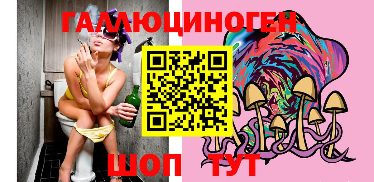 Сокол  Псилоцибиновые грибы Psilocybe  Вход с VPN 